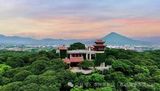 文章附图