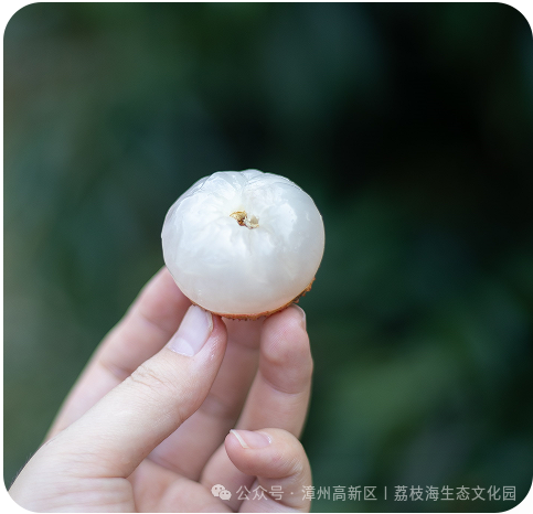 微信图片_2026-08-14_193249_281.png